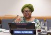U.S: Fulbright selects Nigerian-born Prof. Okome for national screening committee