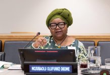 U.S: Fulbright selects Nigerian-born Prof. Okome for national screening committee