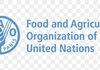 FAO, Adamawa Govt. validate climate-resilient livelihoods strategy