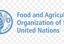 FAO, Adamawa Govt. validate climate-resilient livelihoods strategy