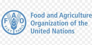 FAO, Adamawa Govt. validate climate-resilient livelihoods strategy
