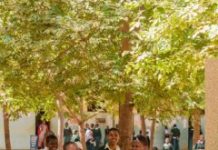 Malala Fund commits $2.95m to girls’ education in Nigeria