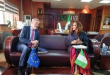 EU to deliver €20m defence support to Nigerian armed forces