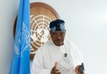 Nigeria’s UN profile rising with Budget C’tee leadership -Ibrahim