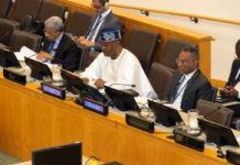 Ibrahim pushes continuous UN reform, stronger accountability