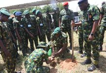 17 Brigade plants trees to promote environmental sustainability in Katsina