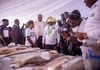 Bayelsa governor urges youths to embrace agriculture for jobs, food security