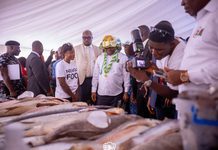 Bayelsa governor urges youths to embrace agriculture for jobs, food security