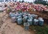 NAFDAC destroys N2.6m expired, substandard products in Rivers