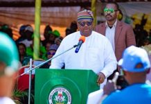 Mutfwang targets industrial hub status for Plateau