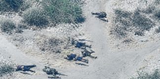 Military neutralises 8 terrorists in Lake Chad air strike