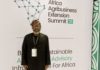 Wheat production rises to 420,000 metric tonnes annually-FG