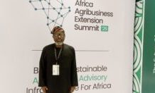 Wheat production rises to 420,000 metric tonnes annually-FG