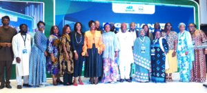 FG, stakeholders unite to scale telehealth for UHC