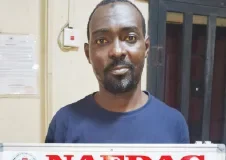 NAFDAC uncovers illegal herbal products factory in Lagos