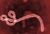 Ebola: FG orders tighter screening at Nigeria’s entry points