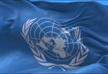 UN unveils $78m lifeline for Africa’s Great Green Wall