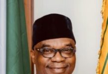 FG to develop soft power diplomacy model around music, tourism, culture