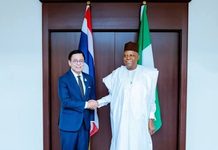 Thailand identifies potential for cultural cooperation with Nigeria, Africa